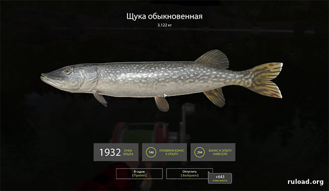 Одиночная кампания в игре Русская Рыбалка 4