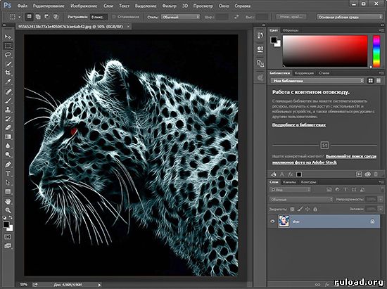 Adobe Photoshop CC 2015 на русском