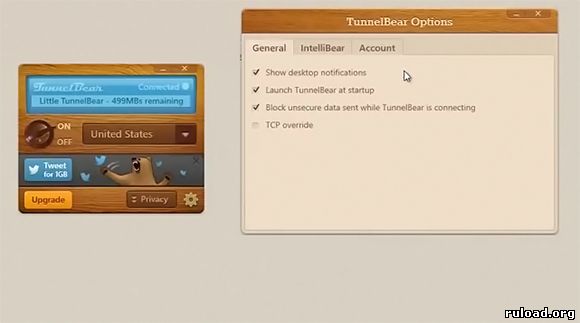 Скриншот интерфейса Туннель Беар