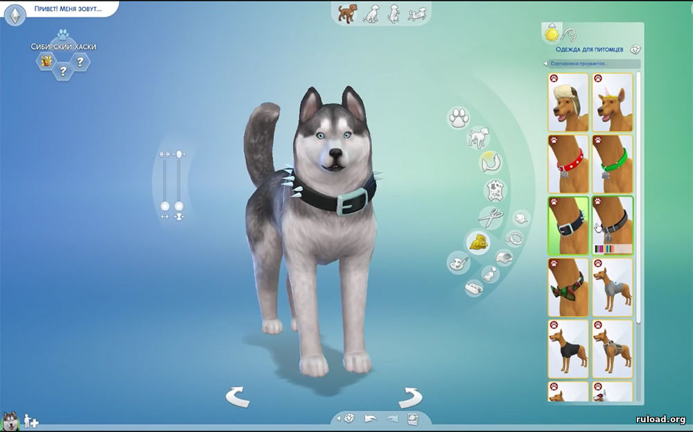 Sims 4 Кошки и Собаки