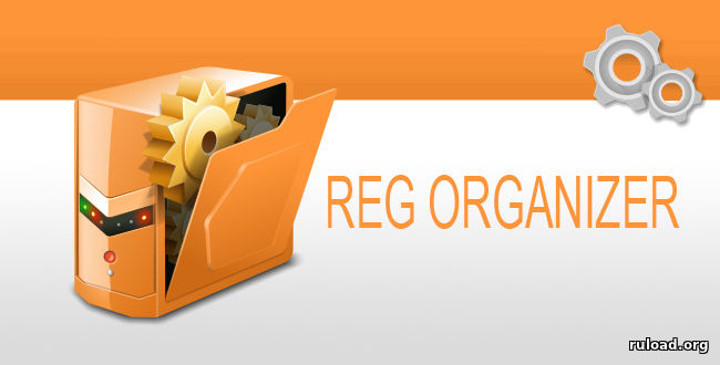 Reg Organizer 8.9