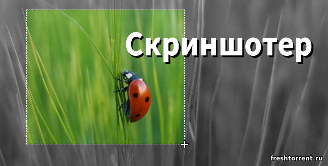 Скриншотер для Windows на русском