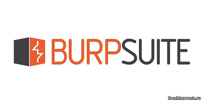 ПО для тестирования приложений Burp Suite Professional
